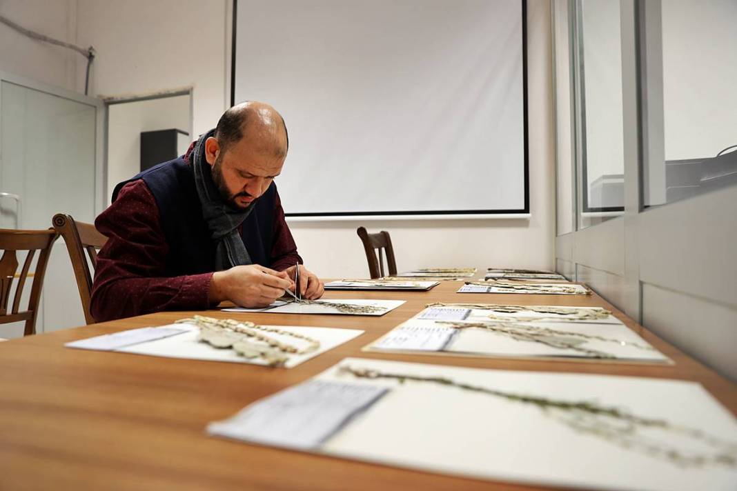 Dünyada sadece o kentimizde yetişiyor! Herbaryumda 400 bitki koruma altına alındı 1